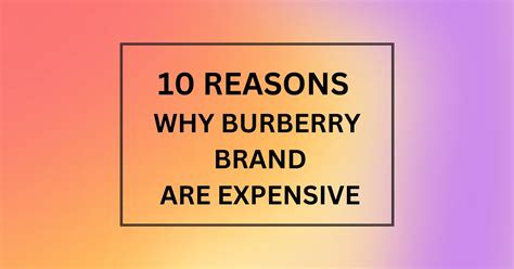 value proposition of burberry|why is burberry expensive.